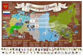 Карта России(магнитная) с информационными карточками
