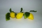 Ветка муляжей Лимон