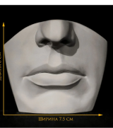 Гипсовая модель Губы человека