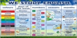 We study english