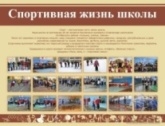 Спортивная жизнь школы(дизайн по вашим материалам)