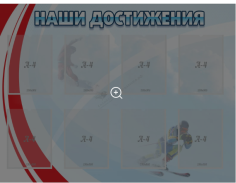 Наши достижения