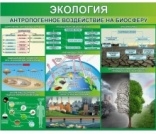 Стенд Экология.Антропогенное воздействие на биосферу