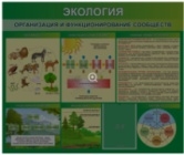 Экология.Организация и функционирование сообществ